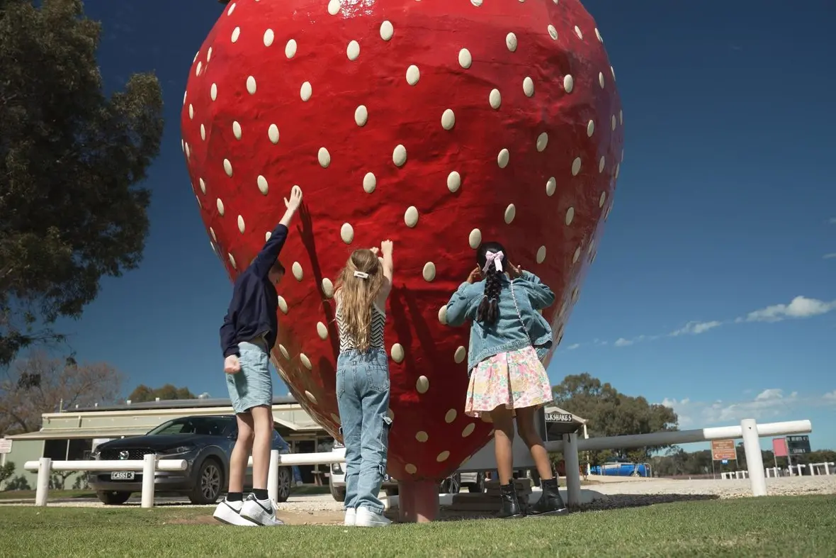 ROAD TRIP: The Big Strawberry in Koonoomoo is featured in Australia Post\\'s latest Aussie Big Things coin collection.
