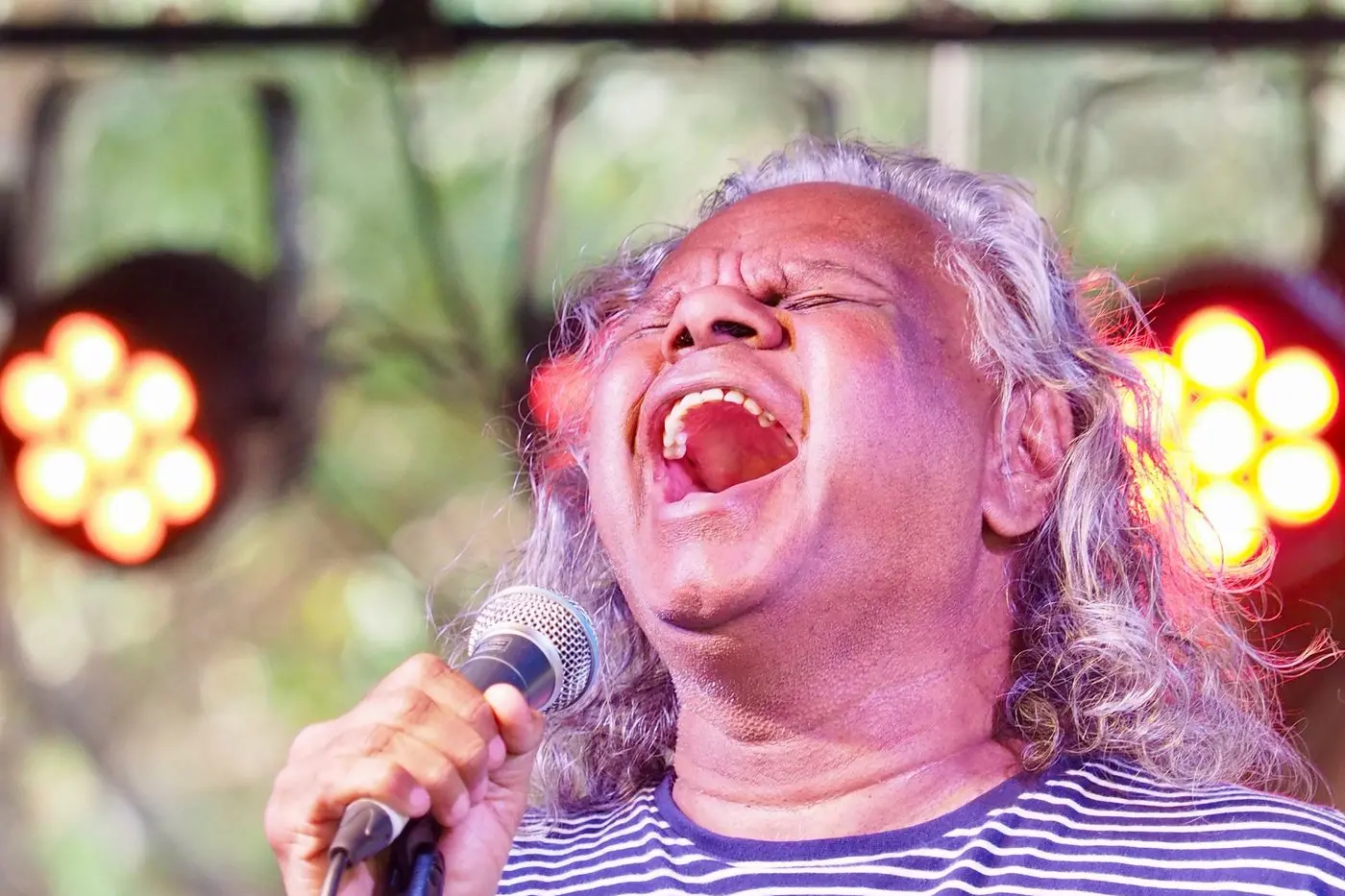 SINGING FROM HEART: Russell Smith from Brolga Band was well-enjoyed by Folk, Rhythm & Life festival-goers. PHOTO: facebook.com/\\nTabithaLowdonPhotography