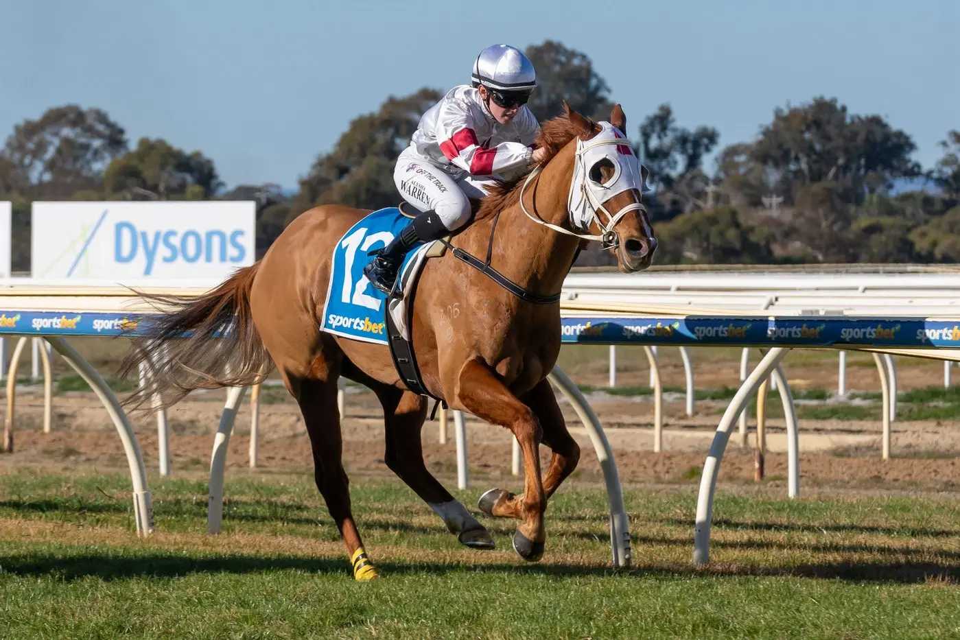 IN FORM: Andrew Dale\\'s More Importance runs home to victory at Wangaratta on Saturday. PHOTO: Racing Photos