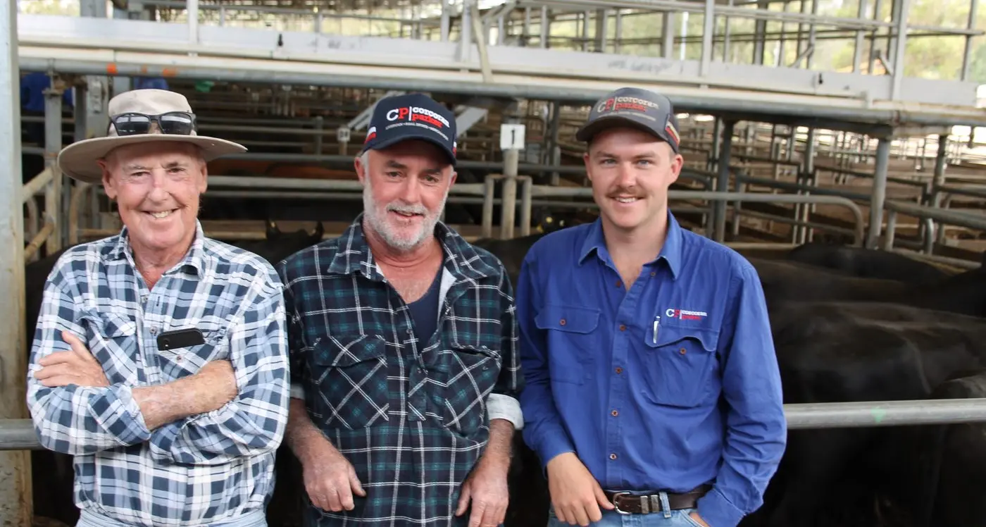 2023 store sales end with a bang