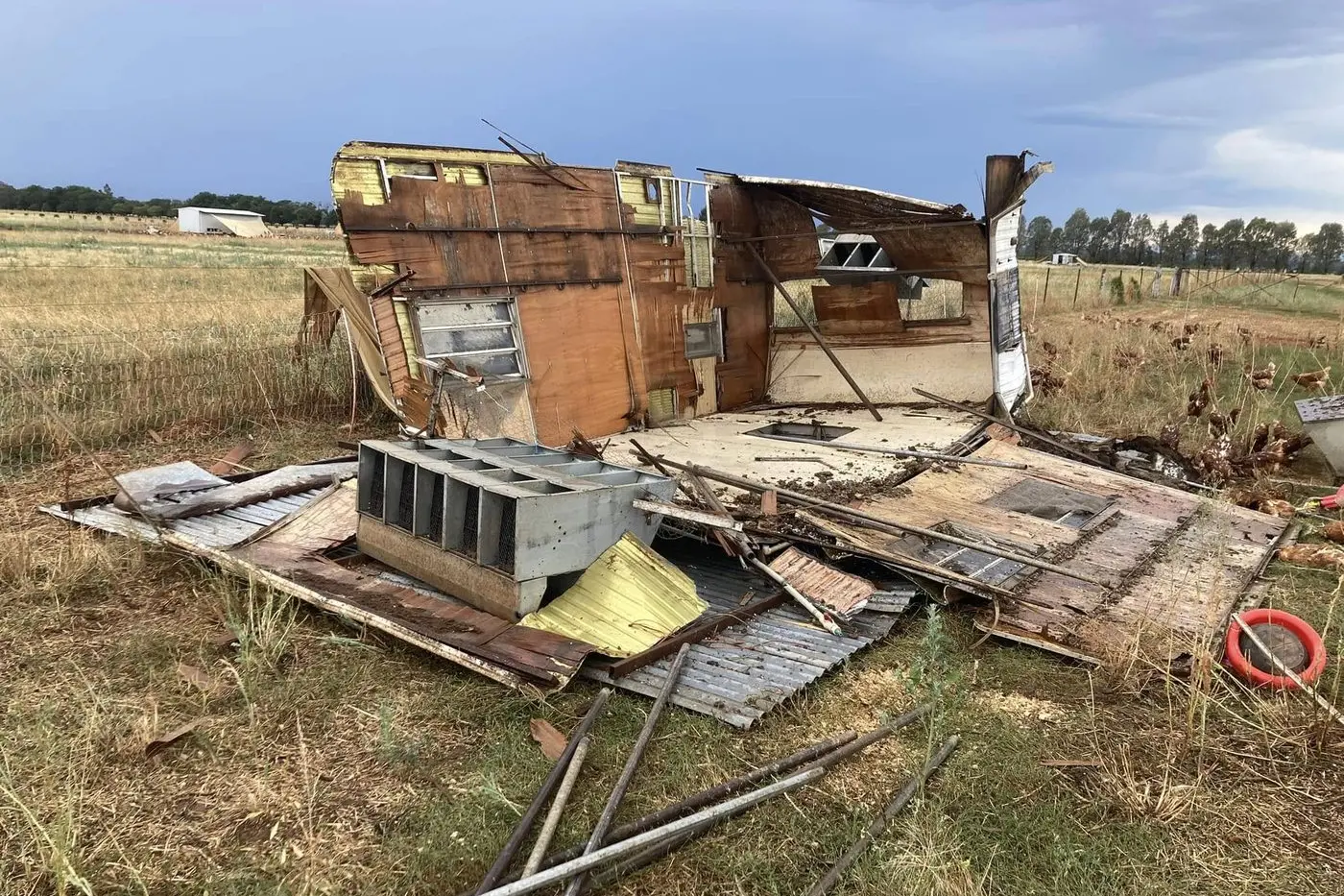CRACKED EGG: Milawa Free Range Poultry Farm saw serious damage to two of their sheds, killing some 30 hens and traumatising others which was expected to halt production for some weeks. PHOTO: Milawa Free Range Poultry