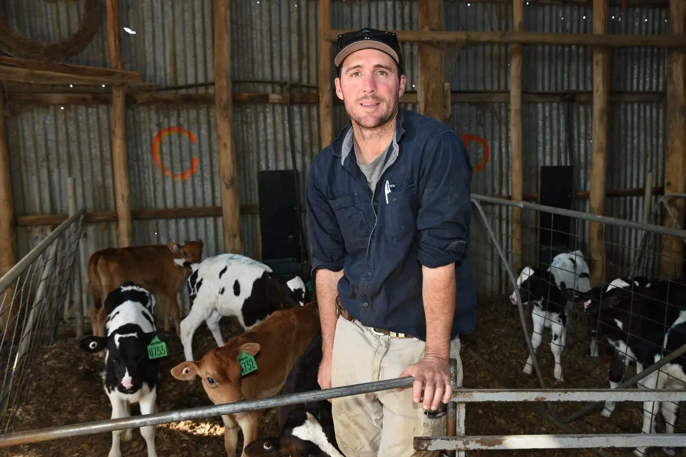 UNHAPPY: Whorouly dairy farmer Jon Pethybridge is frustrated with the recent farmgate milk price announcement. PHOTOS: Kurt Hickling. 