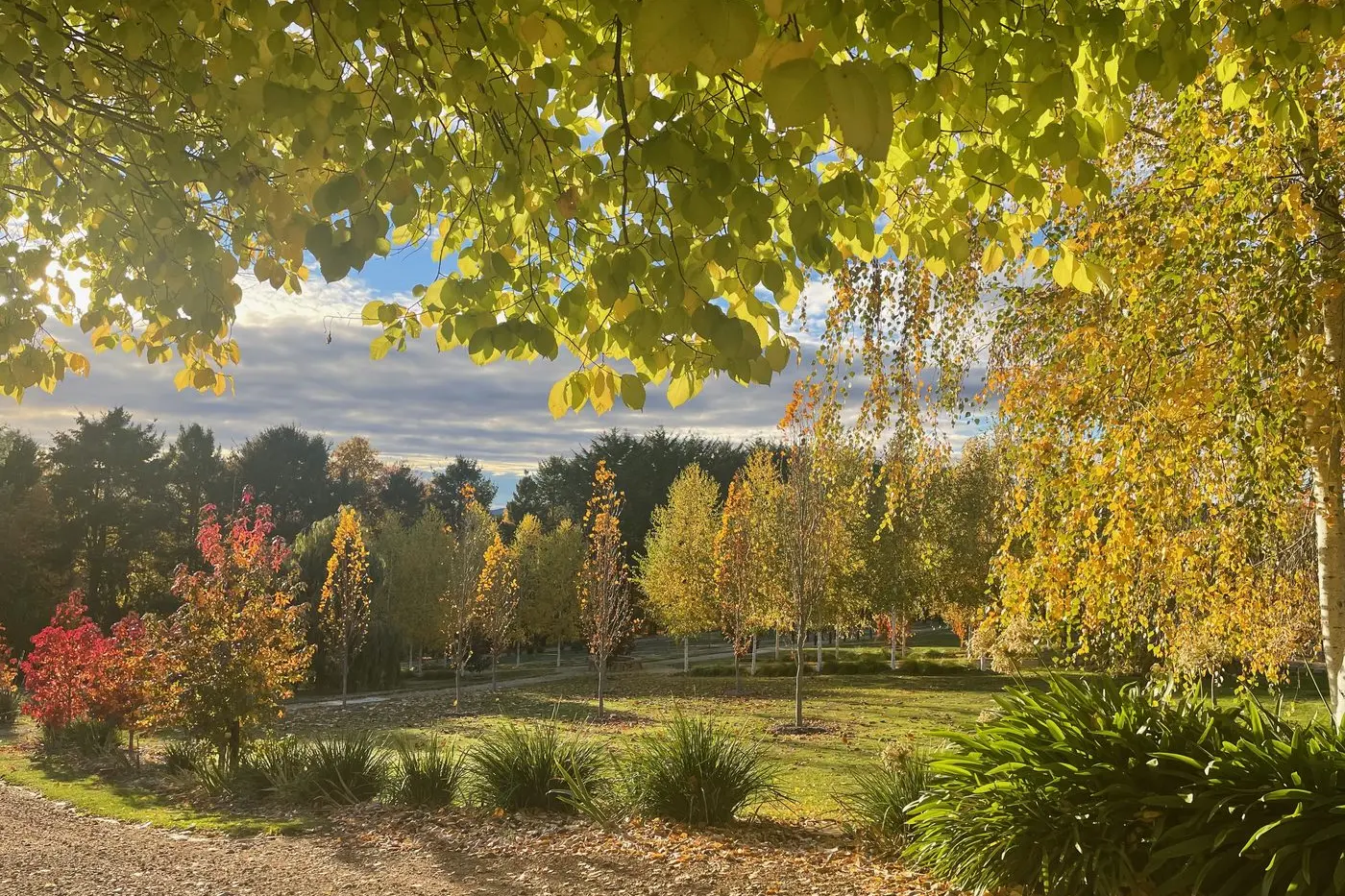 STUNNING VIEWS: In addition to the garden itself, wine tastings, plants and eclectic garden objects, garden books and plants, and Turkish coffee are on offer at the opening at Rowe Garden. 