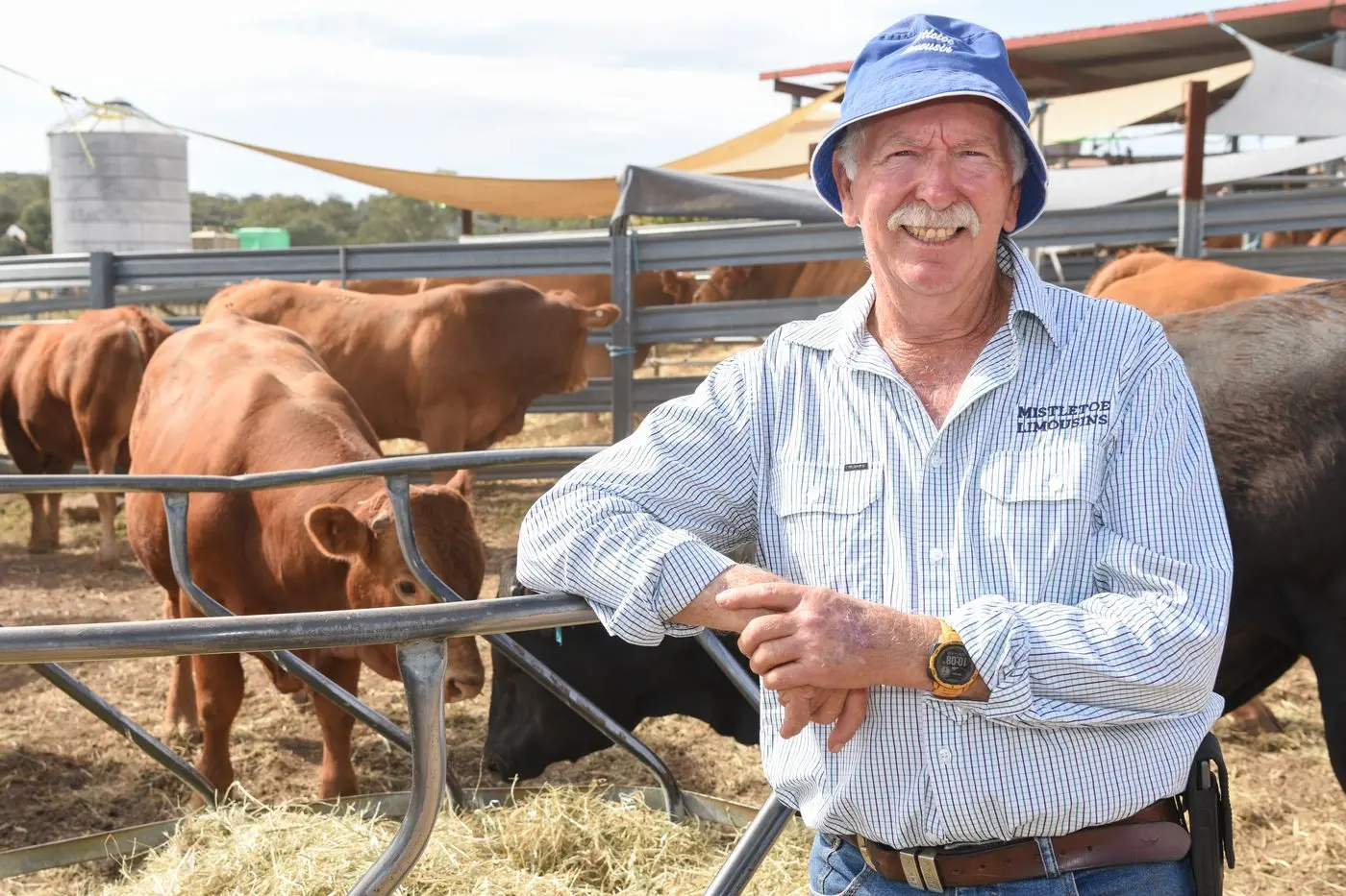 FUTURE GENERATION: Mistletoe cattle producer Dennis O\\'Connor remains dedicated to improving the genetics of his cattle. PHOTOS: Kurt Hickling 