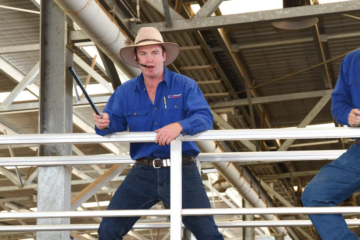 ACTION PACKED: Corcoran Parker Wangaratta agent Reiley Murtagh is ready for a strong presence of competition this Friday with the largest yarding in living memory locally. PHOTO: Kurt Hickling. 