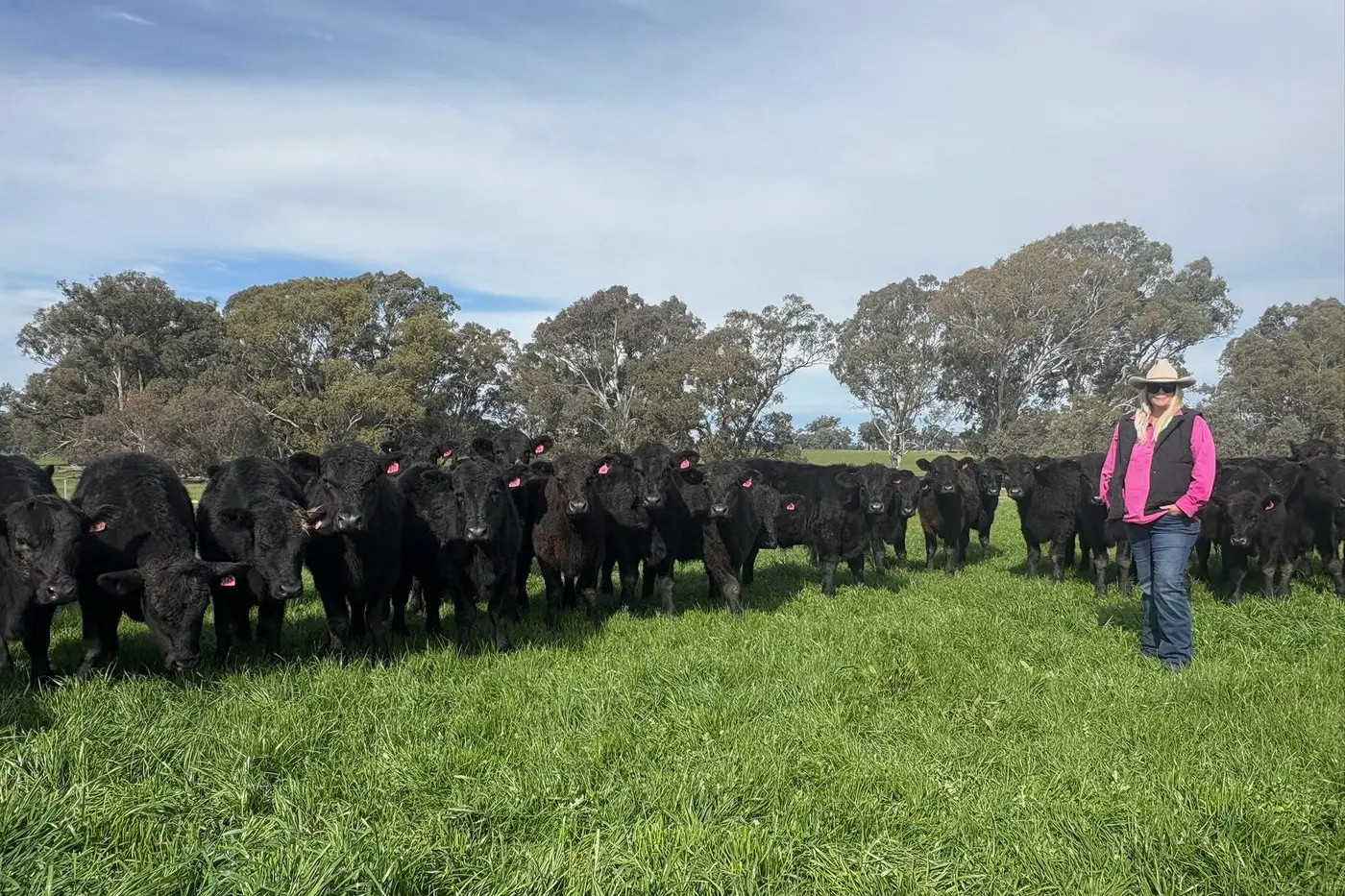 GOOD LOOKING HERD: Emma Iddison of Windswept Holdings, Killawarra will be selling 60 Angus steers, 9-11mths with Alpine blood, in Wangaratta on Thursday.