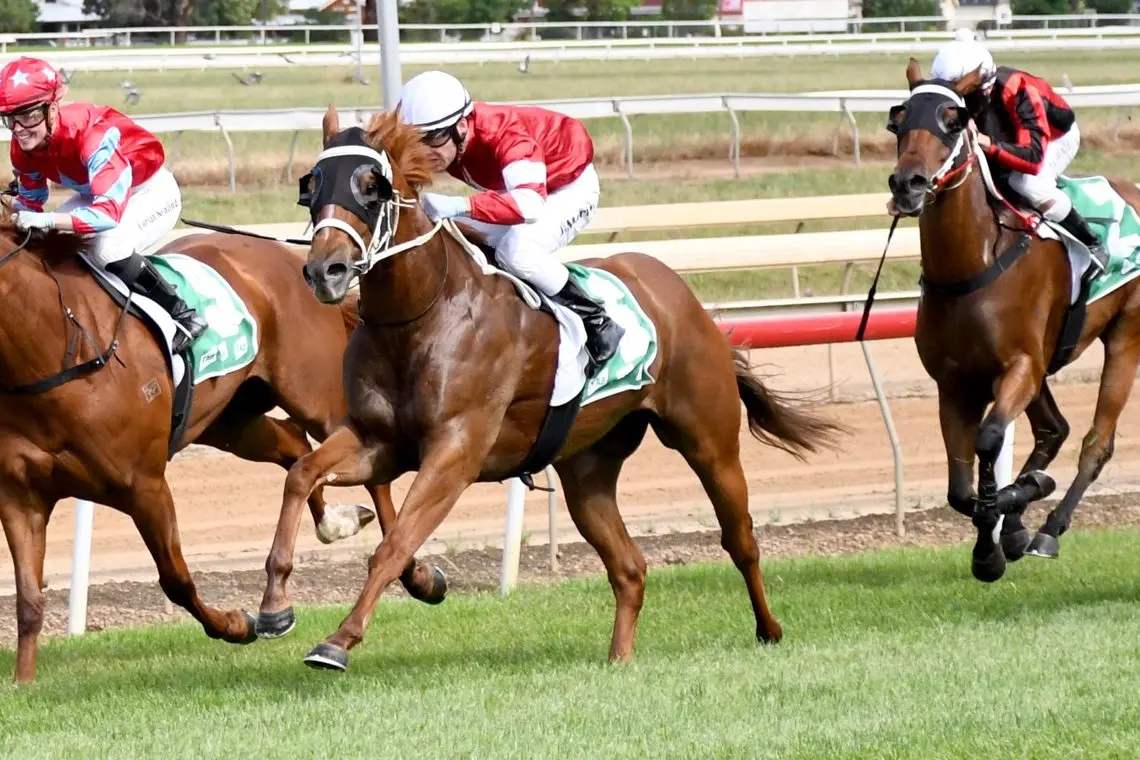 CUP DAY RACING: Andrew Dale\\'s College Dropout will feature at the Wangaratta Turf Club\\'s Melbourne Cup Day races.