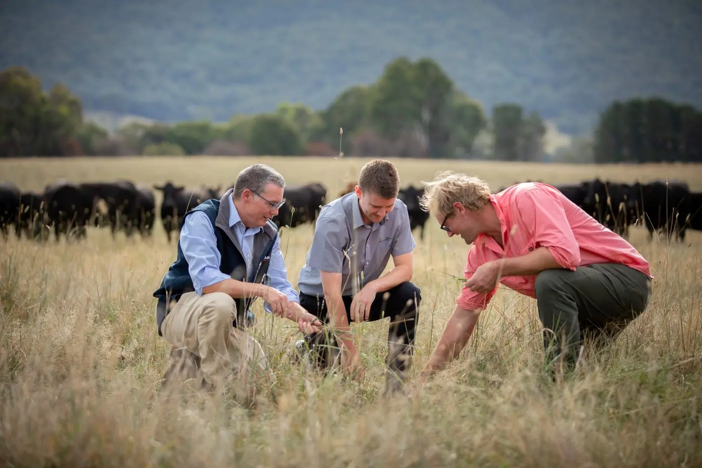 SURVEYING THE RISK: Farm Business Resilience Project leader Kit Duncan-Jones (centre) with program participants at a recent workshop in Benalla.