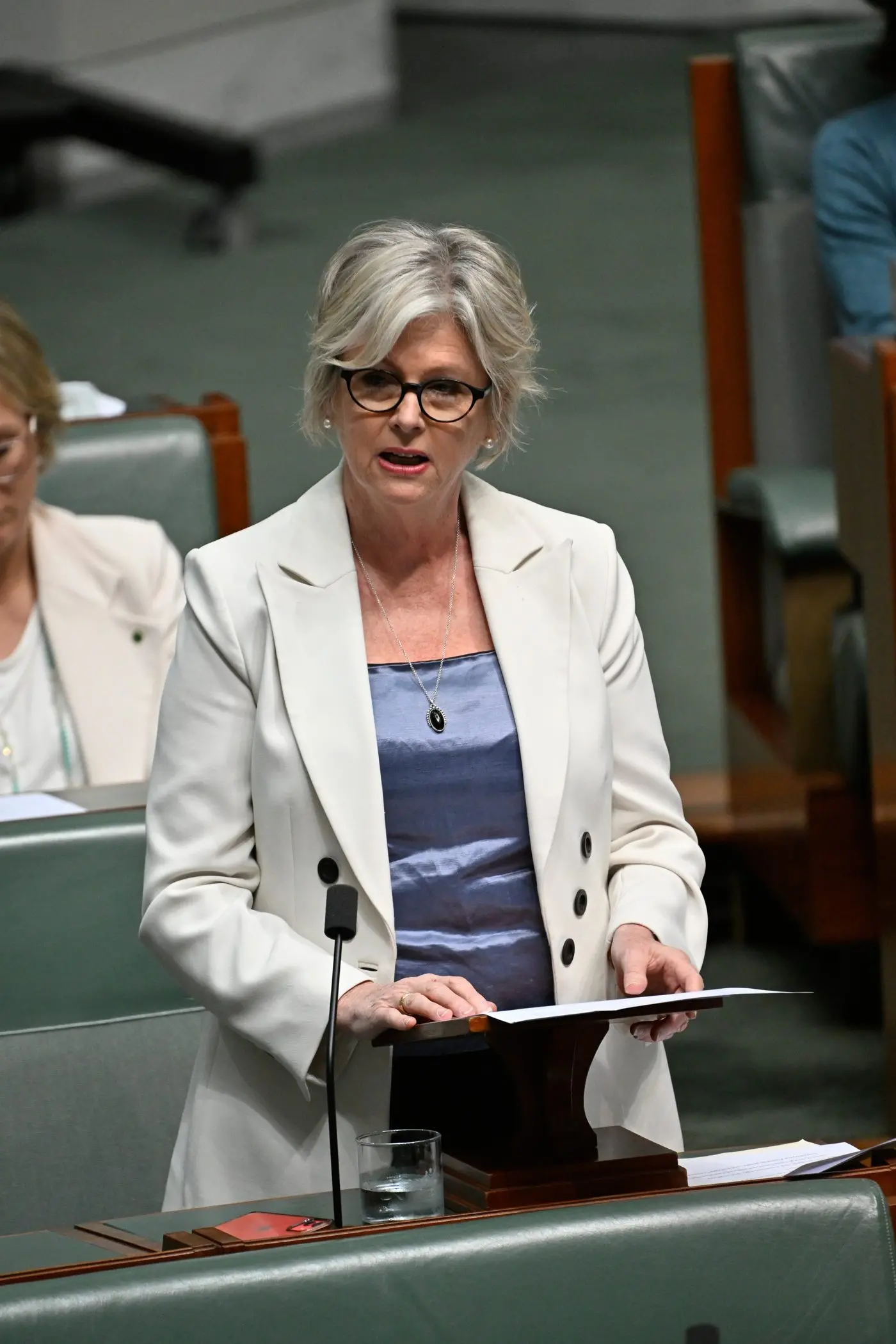 CONCERNED: Indi Independent federal MP Helen Haines and fellow crossbenchers are concerned by the government\\'s changes to Freedom of Information.