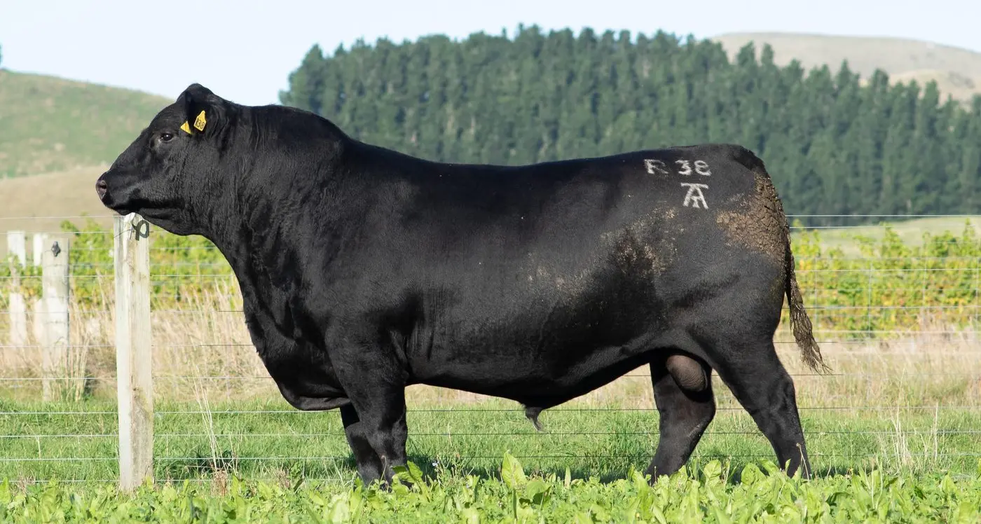 The Alpine advantage with feature sires aplenty