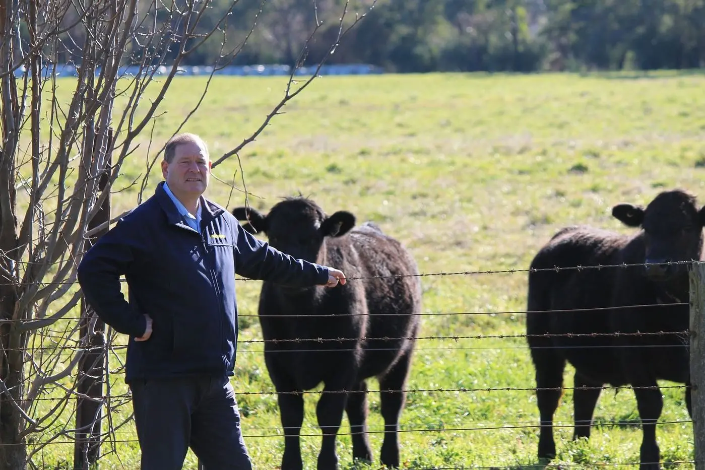 NOT ON: Ovens Valley MP Tim McCurdy is encouraging those opposed to BESS projects near Dederang to lodge an objection.