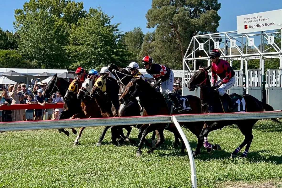 TURNING OUT FOR THE TRUMPETS: Attendees at last year\\'s Dederang Picnic Races cheered at the sidelines for their favourite horse.