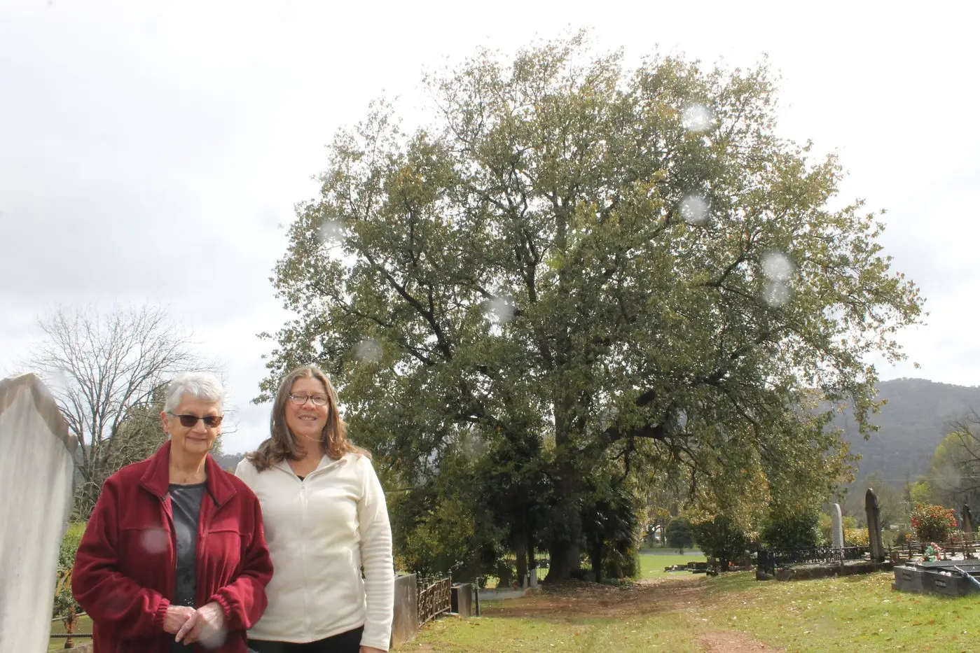 TREASURED TRUST TREES: Bright Cemetery Trust secretary Marilyn Stephens (left) and chairperson Deb Douglass are glad someone anonymously submitted the cemetery\\'s Himalayan Oak to be in the running for this year\\'s Victorian Tree of the Year. PHOTO: Phoebe Morgan