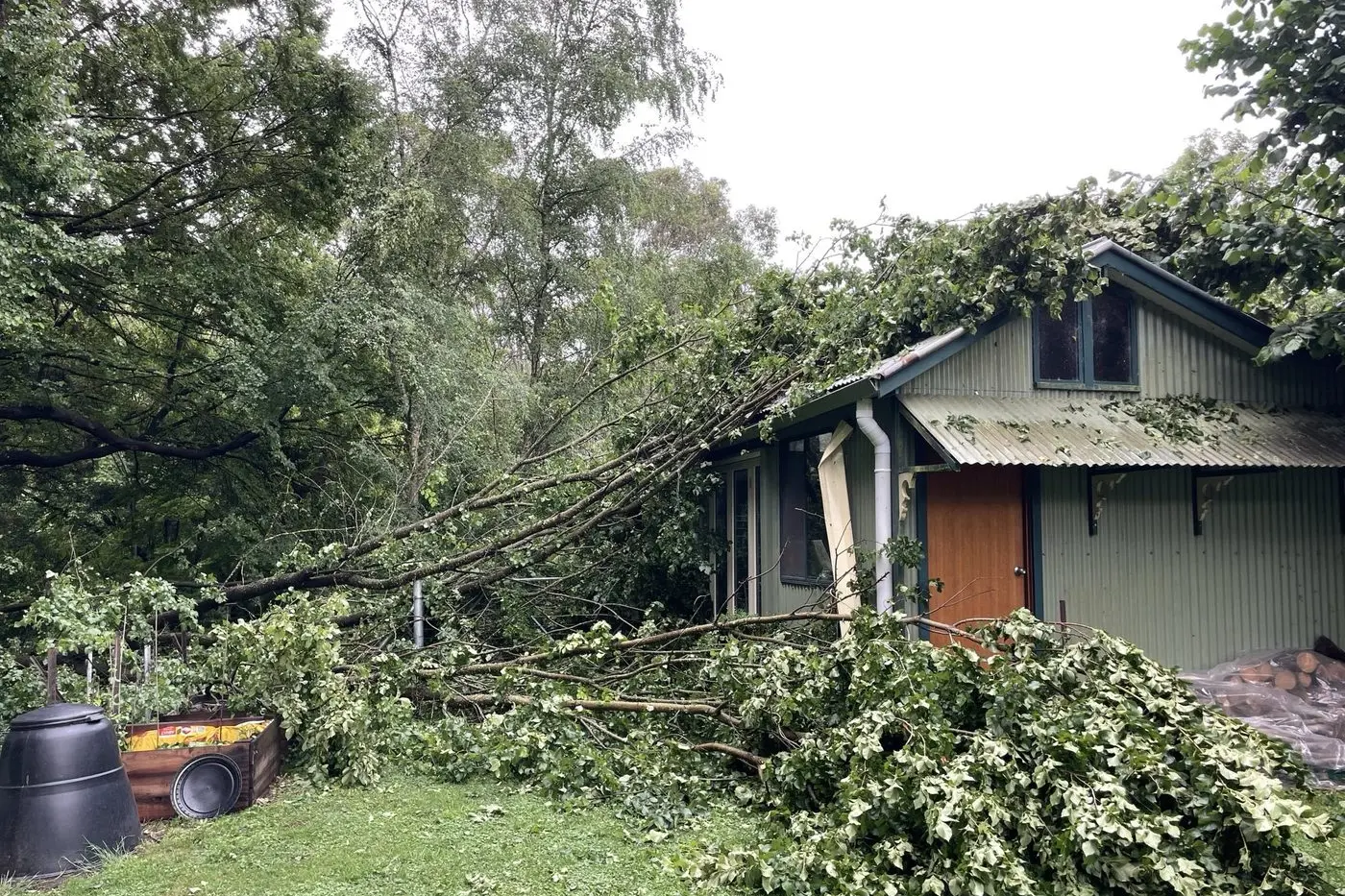 WANDI WAKE-UP CALL: A Wandiligong resident rang the SES for help after a tree fell on their house. PHOTO: Bright SES