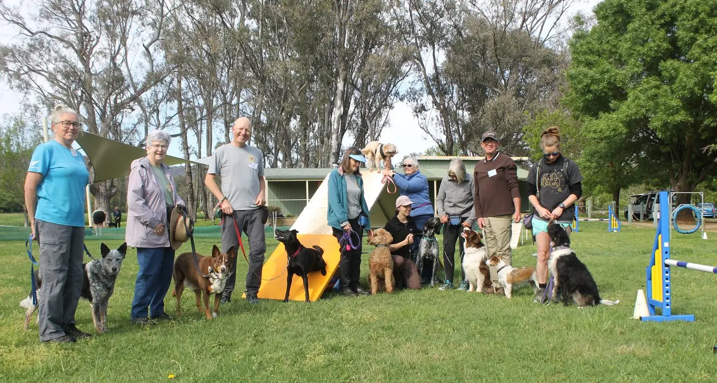 Everything set for show day, with dogs a delightful addition