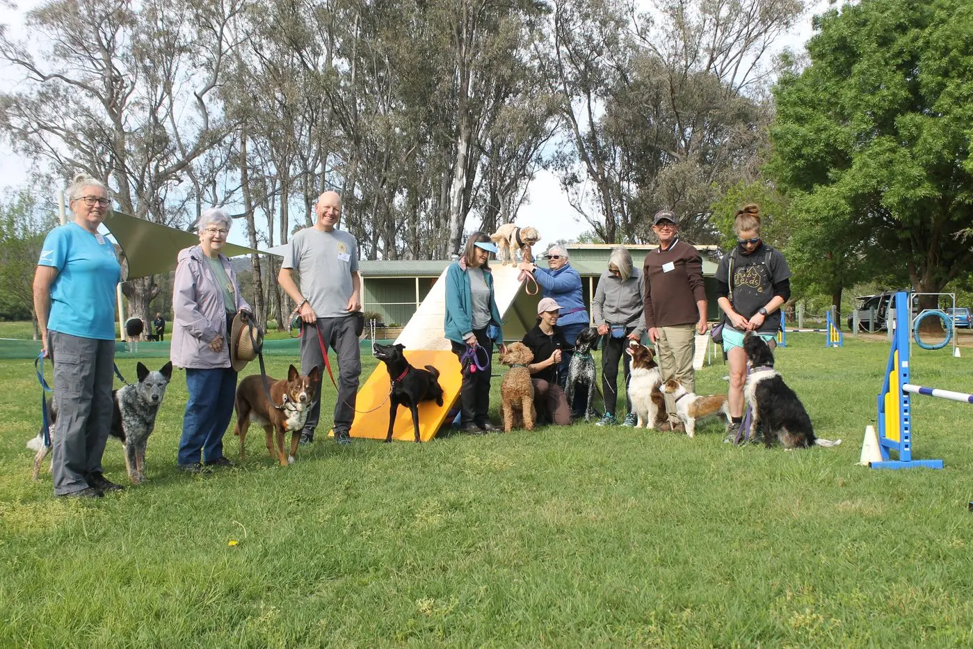 LET\\'S START THE SHOW: Members of the Ovens Valley Canine Club looking forward to being part of Saturday\\'s Myrtleford Show attractions are (from left) Carolyn Jerome with Jax, Elaine Western with Bobby, Joe Leggio with Lola, Robyn Wood with Monty, Sue Howard with Honey, Zoe Birnie with Remi, Di Talbot with Elsie, Ted Brown with Nugget and Monique Wagemakers with Zuri. PHOTO: Phoebe Morgan