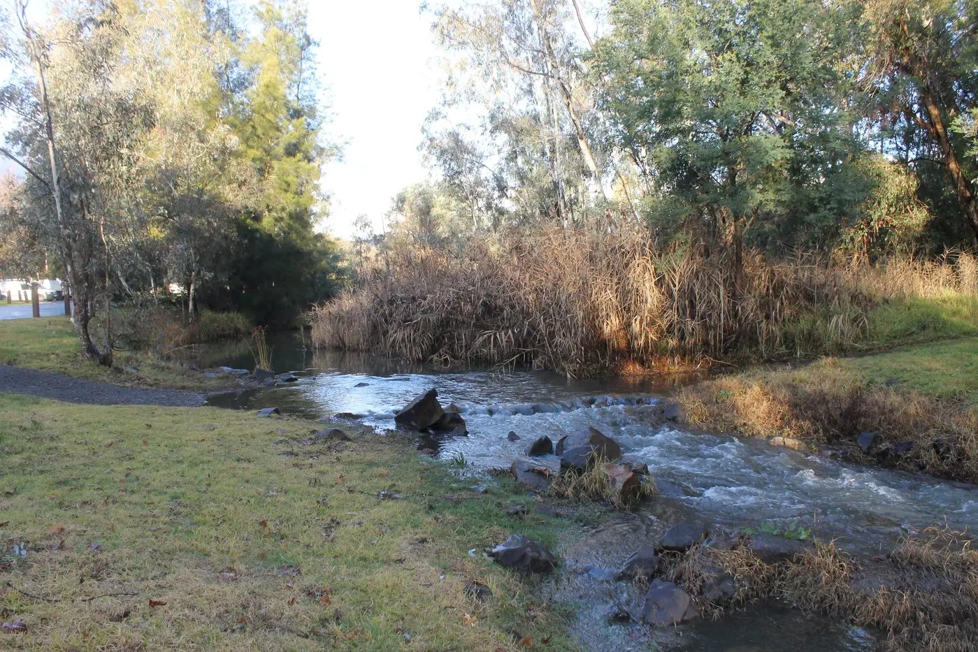 PREPARE FOR FUTURE FLOODS: The Myrtleford Flood Study assessed the impacts of a breakaway event which may involve surrounding rivers and creeks. PHOTO: Phoebe Morgan