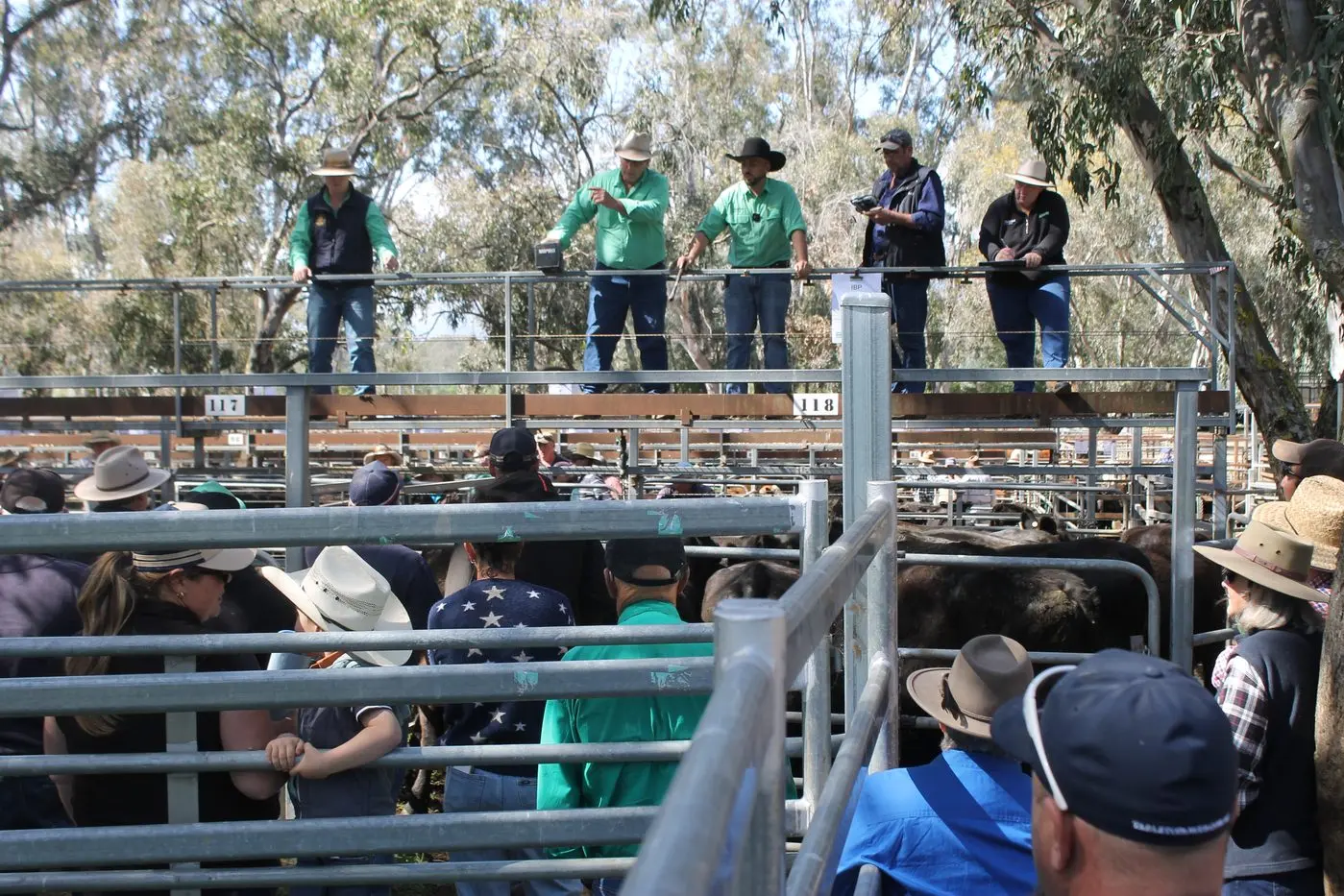 HERD-LE UP: More than 100 people attended last Friday\\'s cattle sale in Myrtleford. PHOTOS: Phoebe Morgan