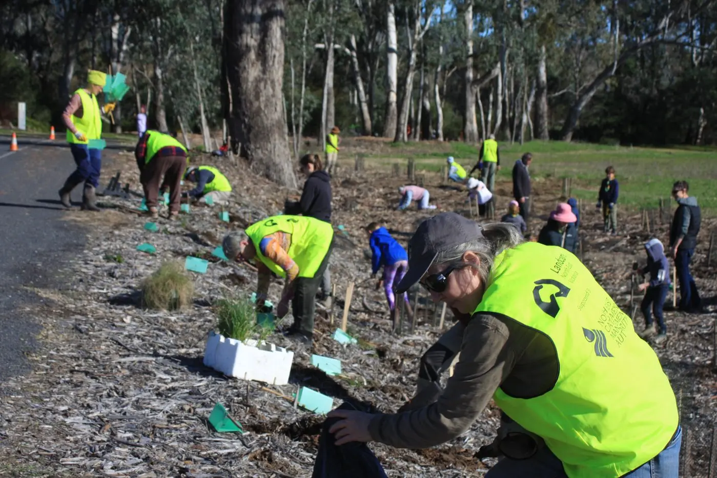 Native tree planting days a boon for wildlife