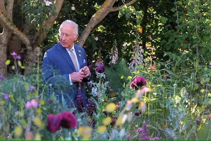 HEAD TURNER: King Charles at the Chelsea Flower Show was equally as impressed with the small Australian orchid as was Queen Camilla. PHOTO: Toby Melville