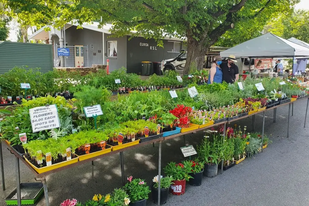 BLOOMIN\\' BEAUTIFUL: Euroa is a garden town and the return of the huge range of plant stalls on Sunday, 15 February will pull the local gardeners out of their patches. PHOTO: Helen Brook