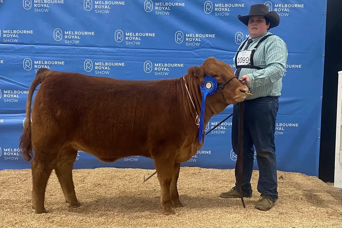 AFTER ONLY THREE YEARS: Angus Burton at the Royal Melbourne Show with his first place ribbon in his handlers class.