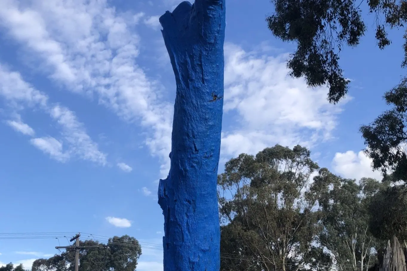 WHY IS THAT TREE BLUE? The now finished blue tree outside of Euroa.