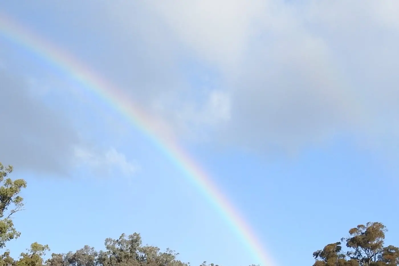 WARMER WITH AVERAGE RAIN: Locals can expect a winter with warmer days and nights and rainfall the same for an average winter.