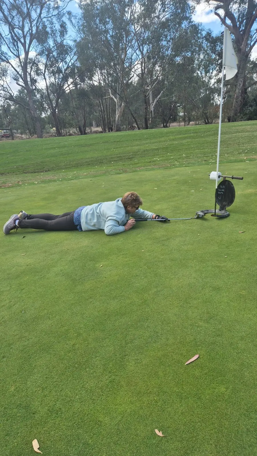 MISSION IMPOSSIBLE: Gail Allen attempts a billiards-style shot under a toilet seat to save par.