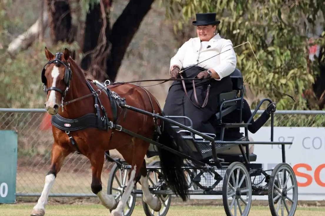 DRESSED TO GO: Jennifer Carew found the dressage event on Easter Saturday a pure delight. PHOTO: Di Boardman