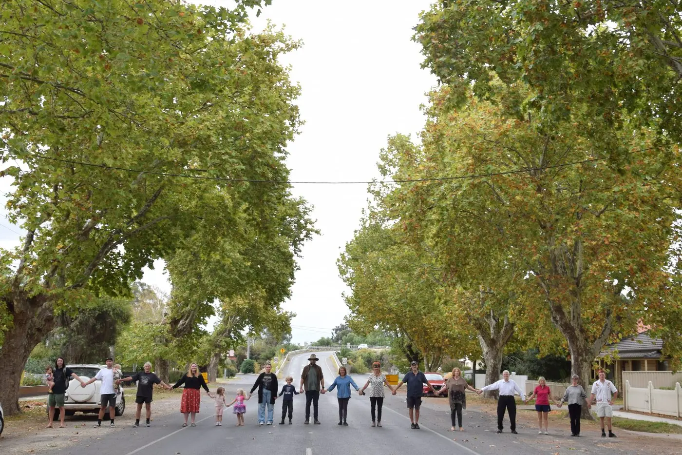 OODLES OF ROOM: Euroa residents stretch across Anderson Street under the shade of the 80-year-old London plane trees to show the width of road available for development. PHOTOS: Andy Wilson