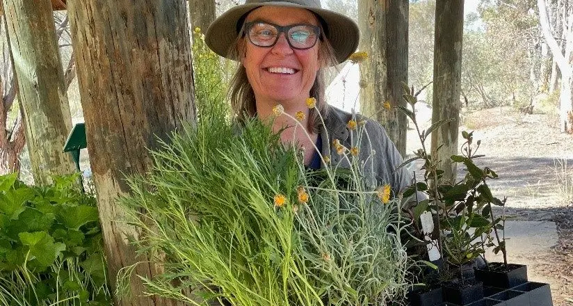 Longwood blitz planned with new grant