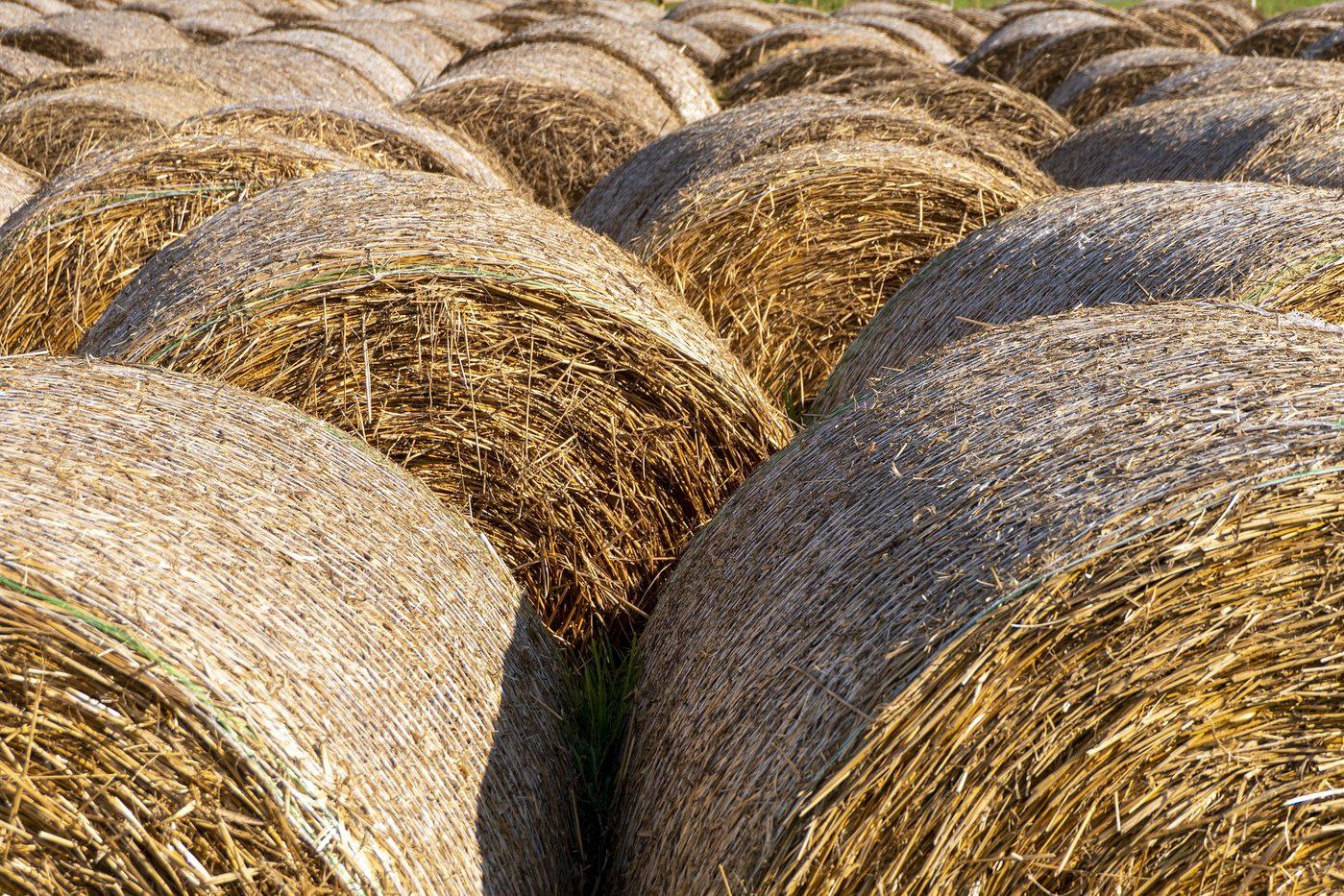 Spring into hay making season