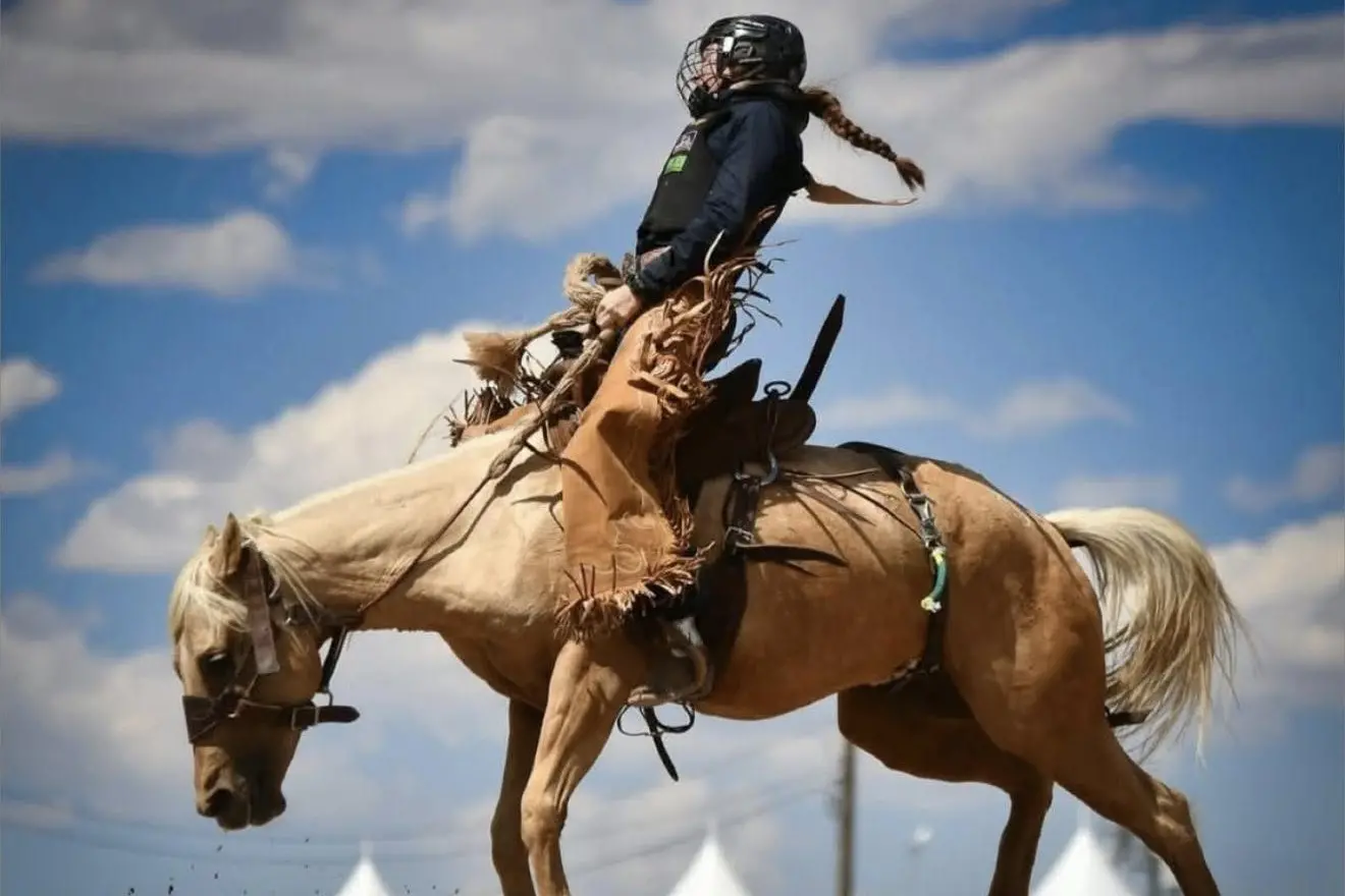 HOLD ON: A world title ride for Tup Forge at the 2025 Women\\u2019s Ranch Bronc Championships in Cheyenne, Wyoming, USA. PHOTO: Chuck Miner