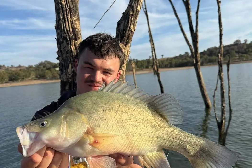 DROUGHT: While the rest of Mansfield Shire is hoping for rain, anglers on Eildon are being presented opportunities to fish around otherwise submerged timber.