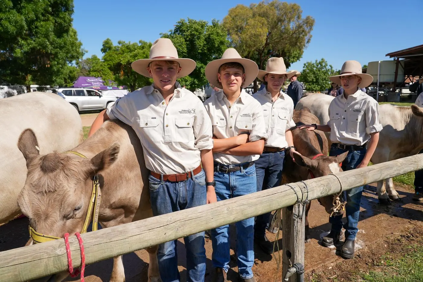ON SHOW: Timbertop students will return this year for the cattle handling classes at the Mansfield Show. PHOTOS: Ron Ekkel