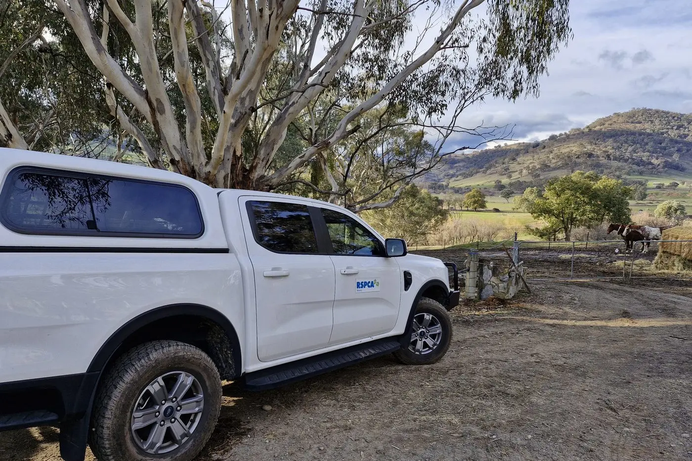 IN SAFE HANDS: RSPCA Victoria Inspectors rescued more than 130 animals across the state last week during multiple large-scale cruelty investigations. PHOTO: RSPCA Victoria