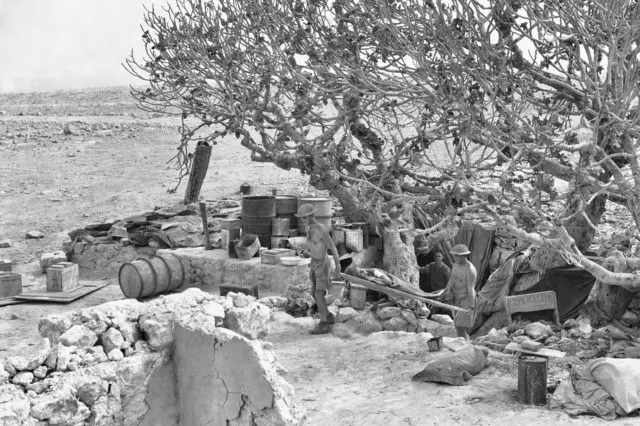 SEIGE: The origin of the Tobruk Fig Tree marked the entrance to a makeshift hospital to treat our wounded during World War Two. PHOTO: Australian War Memorial