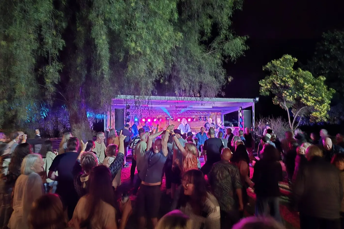 BLUES IS BACK: After two successful years, the Plough Inn\\'s grass roots blues festival is back from 1-2 November.