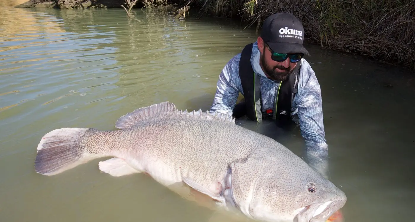 Catch a great day at free Murray codference