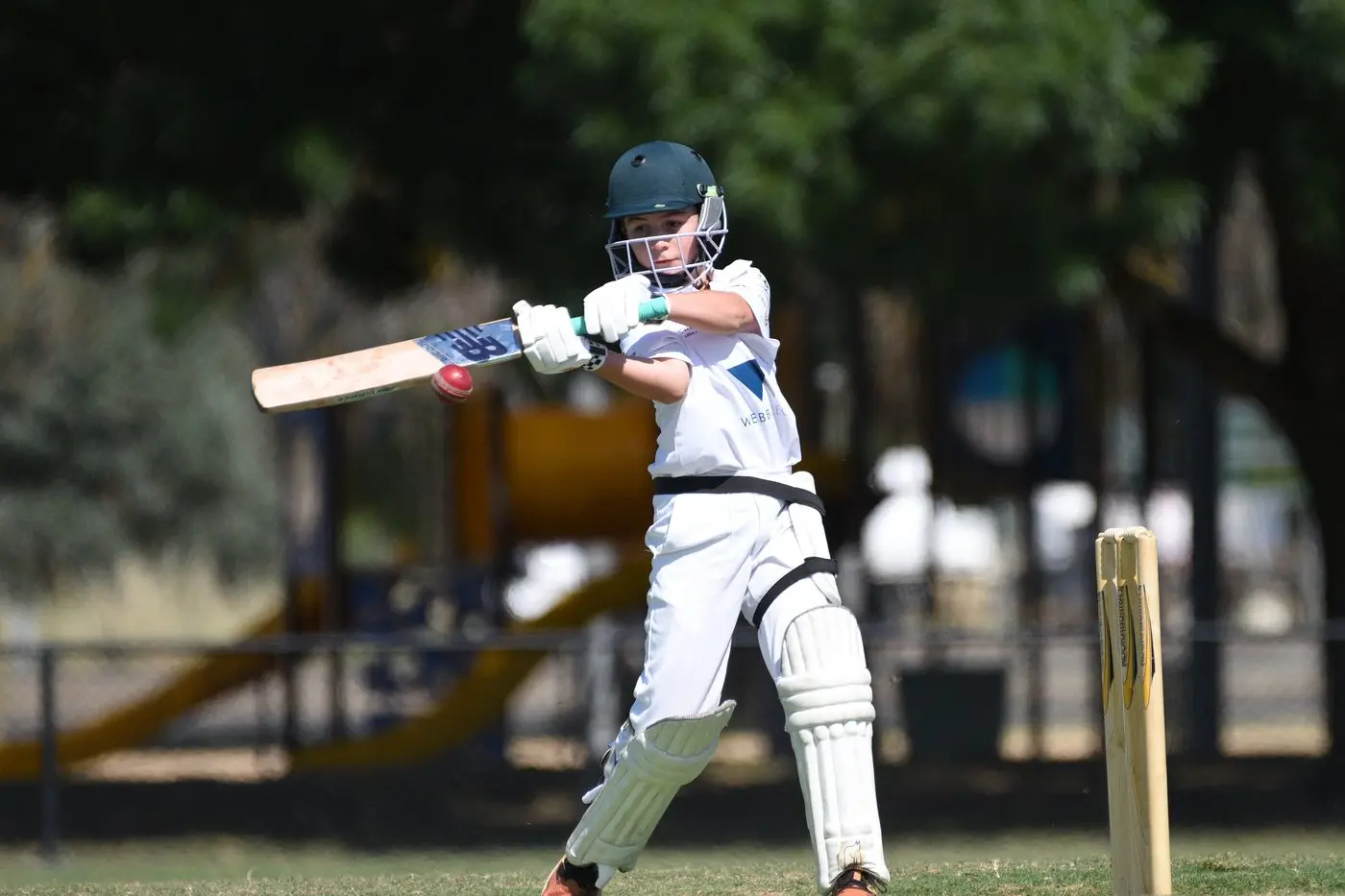 JUNIOR STARS: WDCA junior cricket commences for Under 16s and 14s on 11 October, under 12s on 17 October, and All Girls League on 19 October.