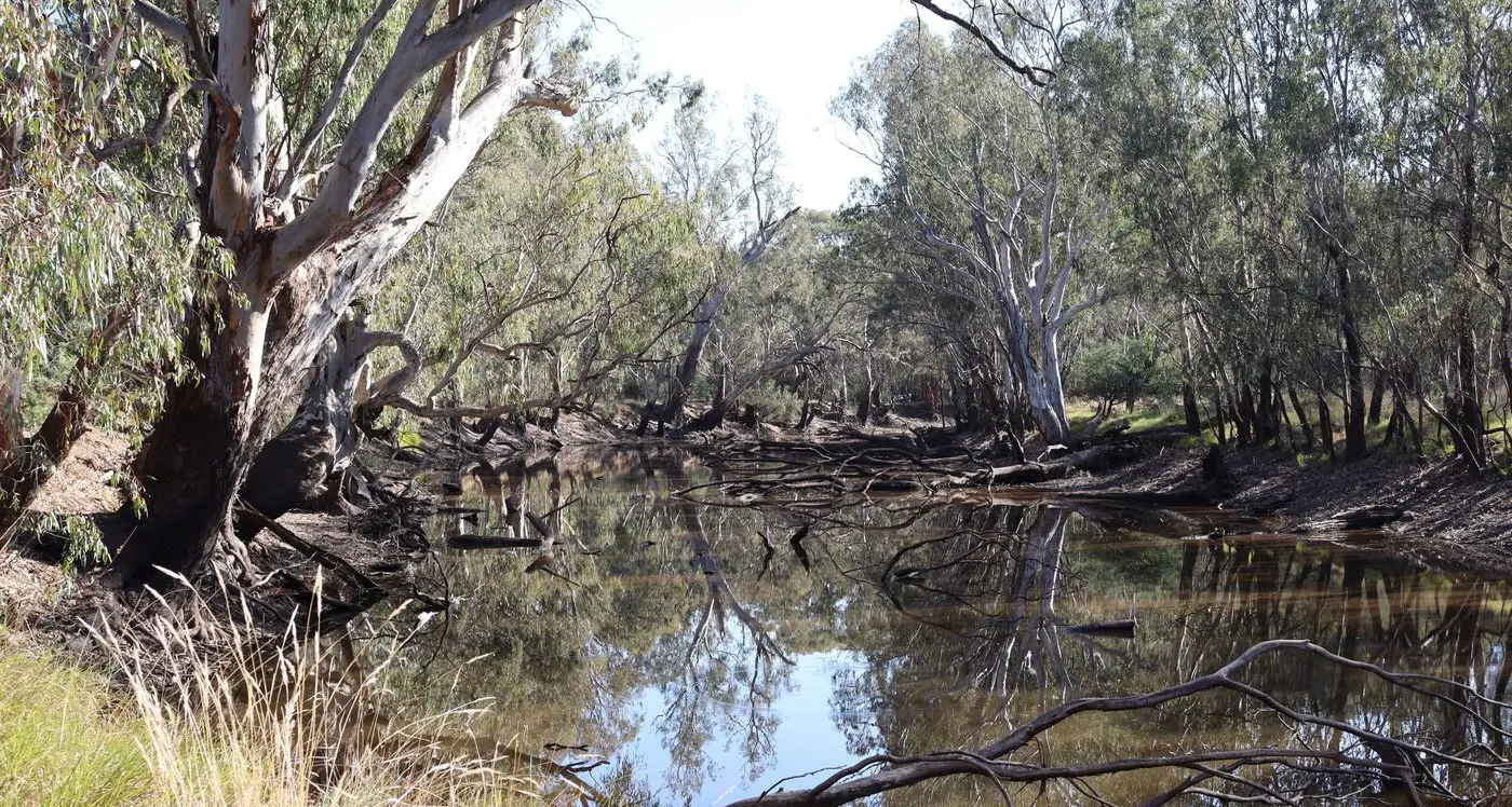 More than just conservation techniques