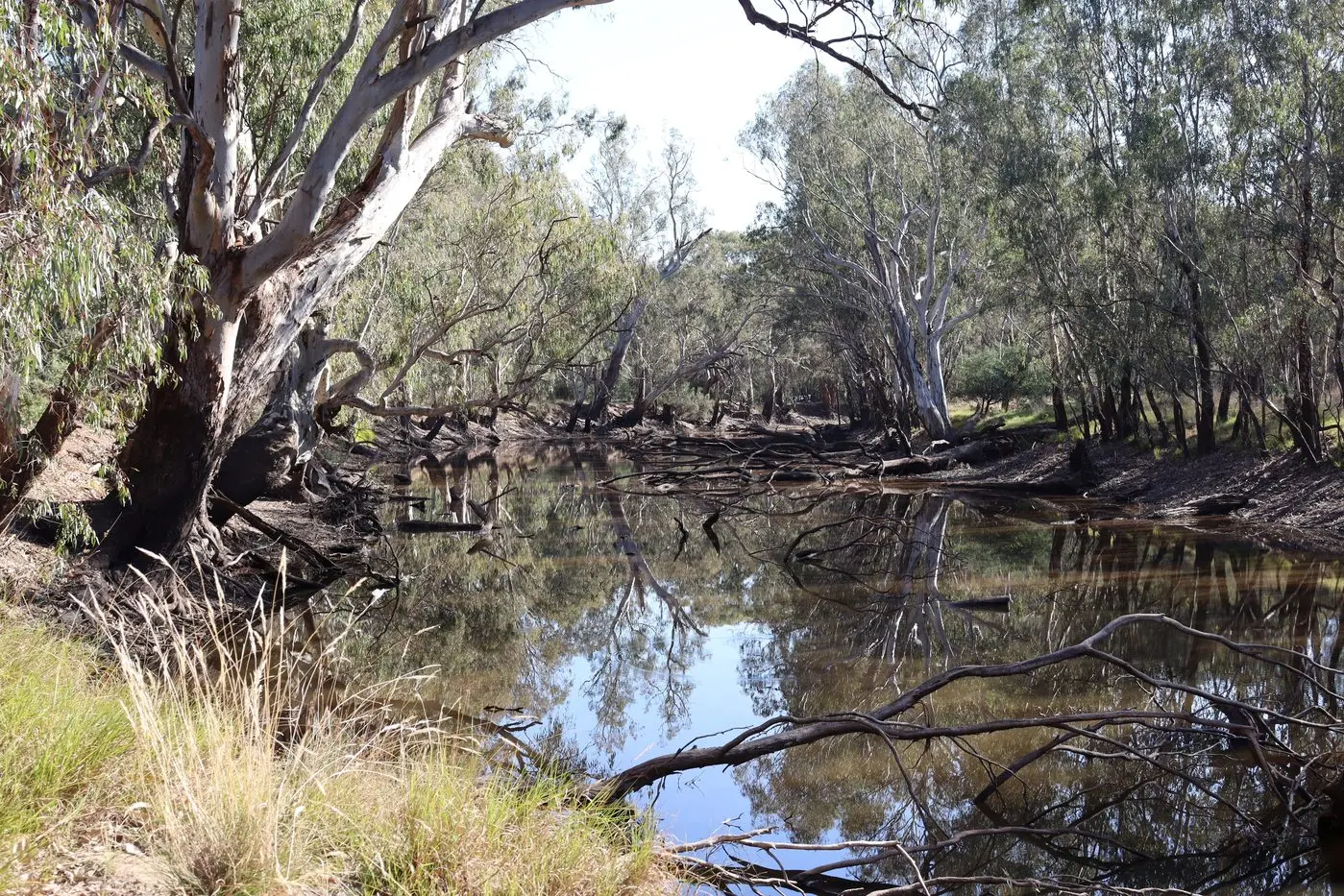 DEEP DIVE: Broaden your understanding of environmental conservation at Swamp Rivers & Ranges\\' \\'Conservation IS Caring for Country\\' event on Sunday, 26 October.