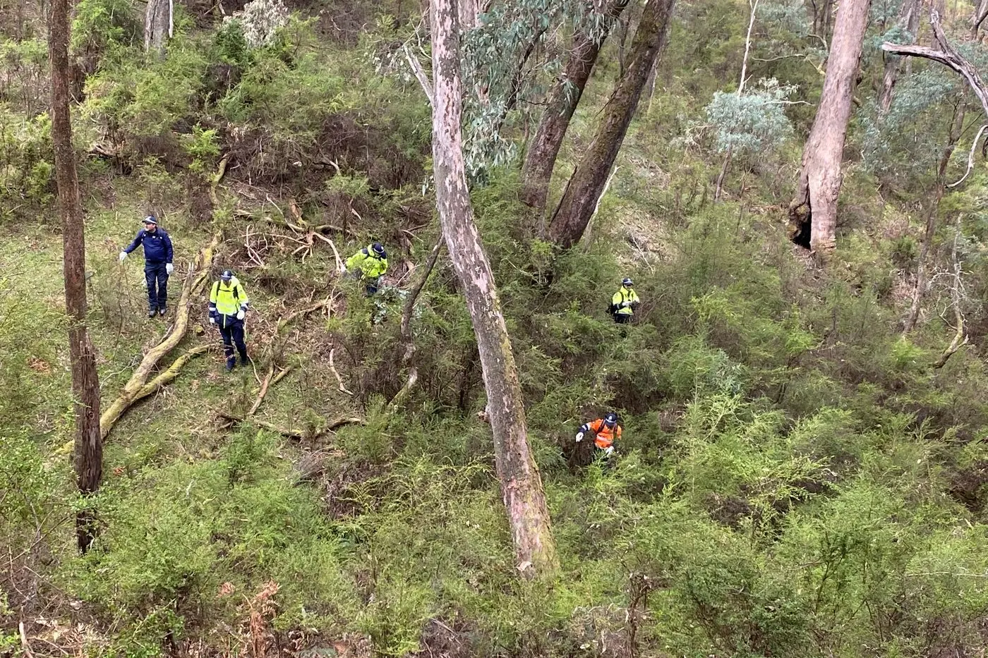 NO REST: About 100 additional police officers have been scouring Mount Buffalo National Park for suspected police killer Desmond Freeman who remains at large. PHOTO: Police Media Unit