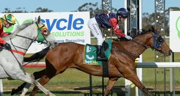 Local owners win big on Murtoa Cup