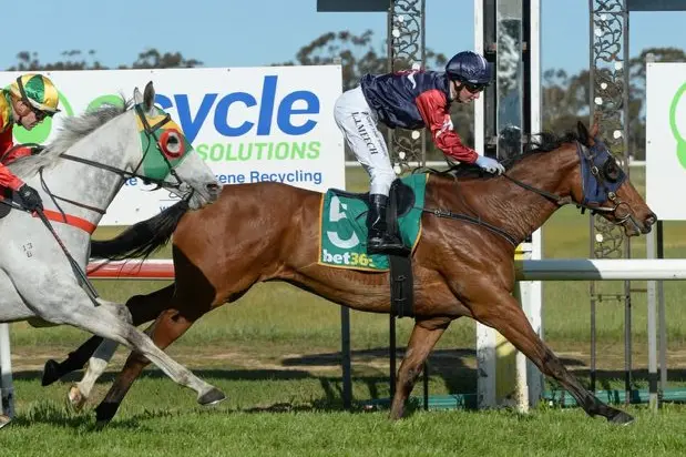 BIG WIN: Rich Champagne, owned by a local syndicate, won the Murtoa Cup on Saturday.