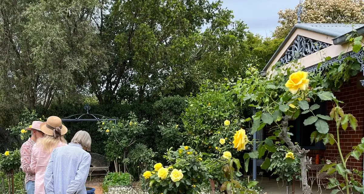 Friends garden fundraising success supporting Timor-Leste