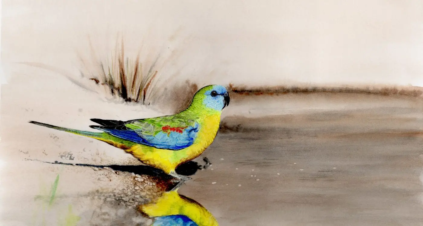 Oxley artist a finalist in Archibald of Australian bird art