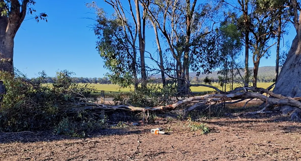 High winds, but Wangaratta mostly unscathed from Wednesday storms