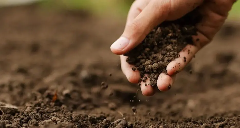 Very dry conditions set to persist